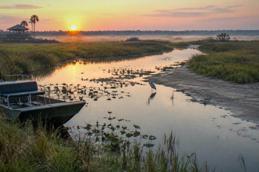 A wide grassy marsh at sunrise with calm water channels winding through it
