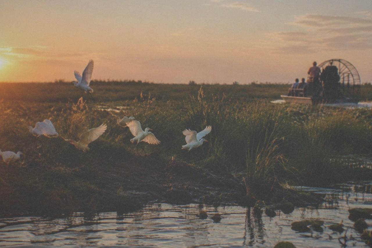 Open marshland and tall grasses along a Central Florida airboat route at golden hour