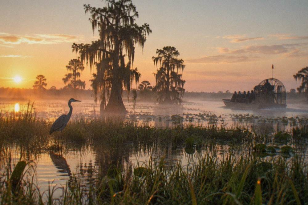 Open marsh water with cypress trees and low morning light along Lake Tohopekaliga