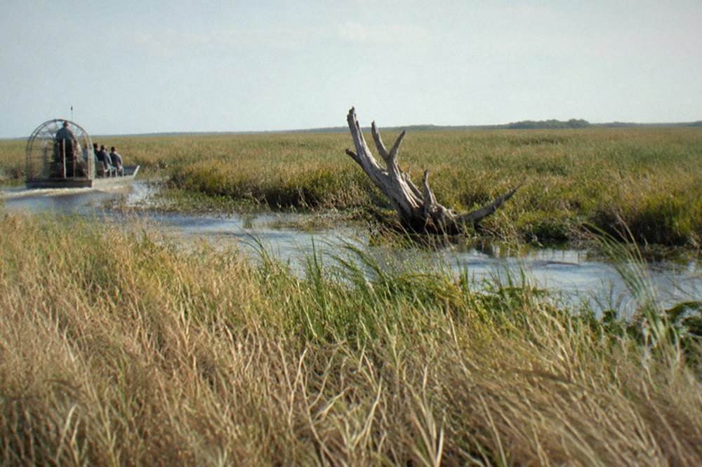 A wide sawgrass marsh stretching to the horizon under a pale sky
