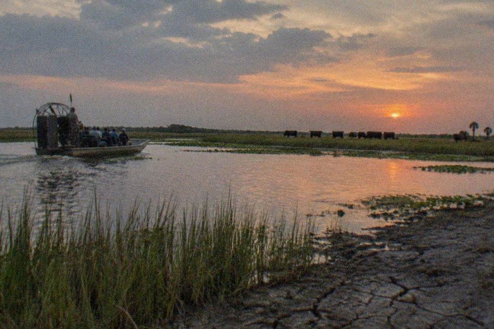 Marsh grass and open water along the edge of Lake Tohopekaliga under a wide evening sky