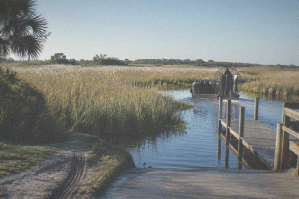 A wide lakeside marsh of tall grass under a clear morning sky