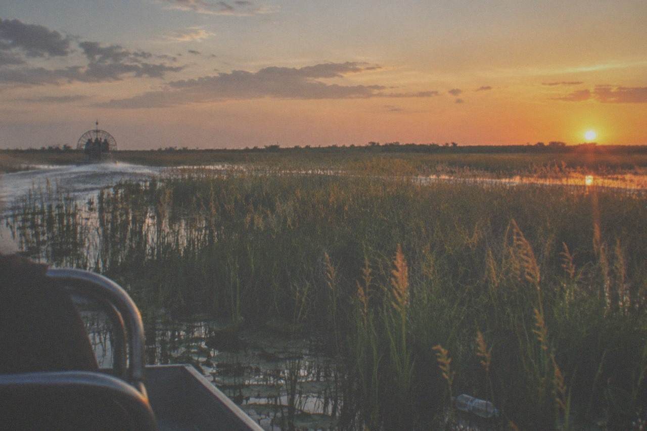 Wide marsh grass and open water along the edge of Lake Tohopekaliga at golden hour