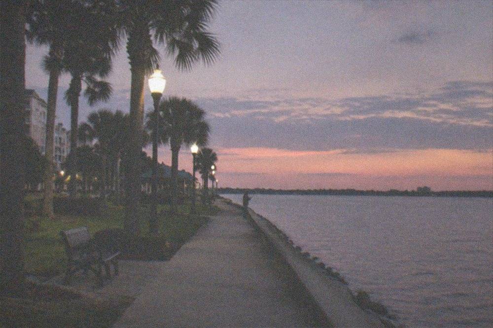 A lakeside downtown waterfront at dusk with palm trees and calm water
