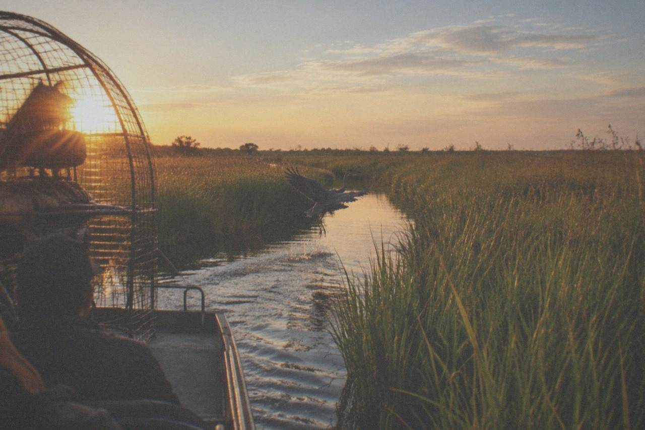 Airboat gliding across a wide Florida marsh at golden hour with tall grass on both sides