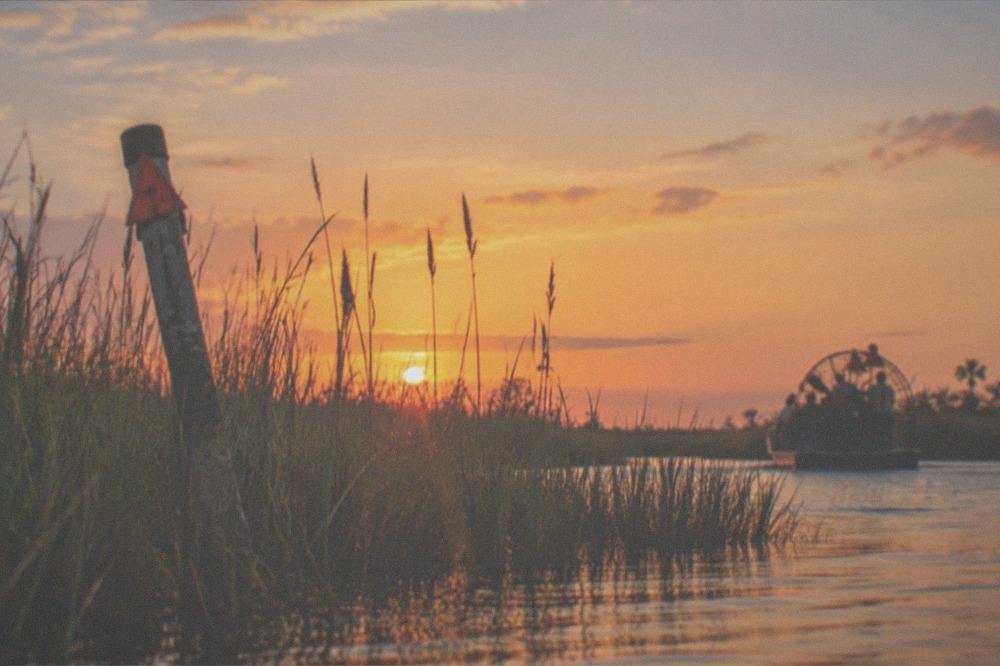 Golden sunset light over wetland grass and open water