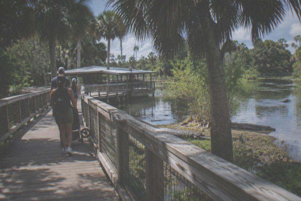 Visitors walking a boardwalk path toward an airboat dock