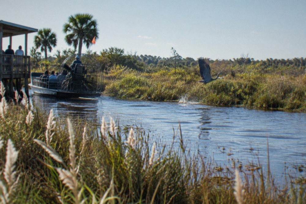 Sunlit marsh grass and open water on a Central Florida lake at midmorning
