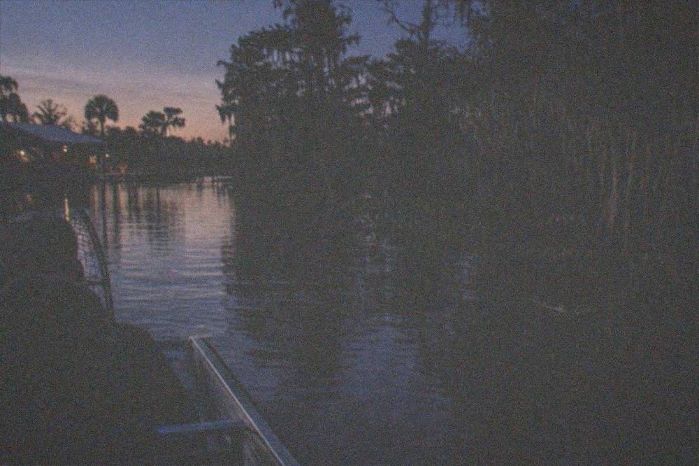 Dark swamp water and a treeline under a twilight sky