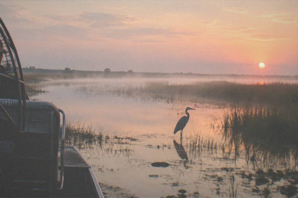 A calm shallow Florida lake at sunrise with mist over the water and open marsh grass to the horizon