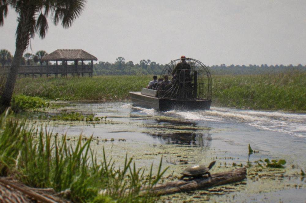 An airboat gliding across open marsh water toward tall grass