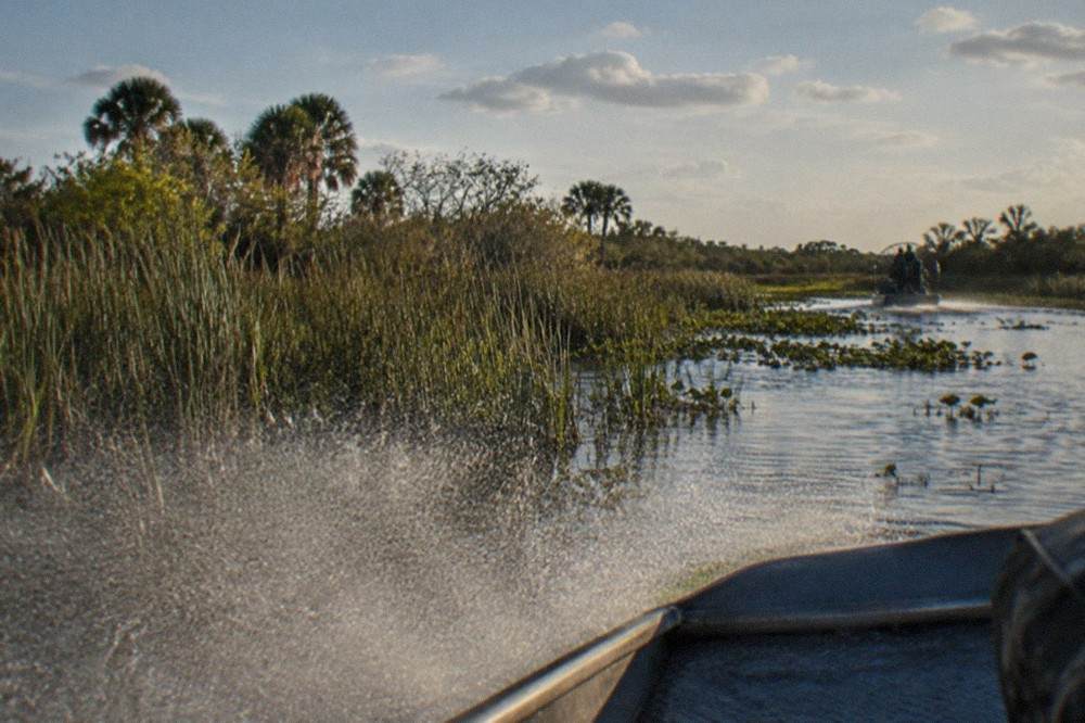 Airboat bow cutting across shallow marsh water with a light mist rising