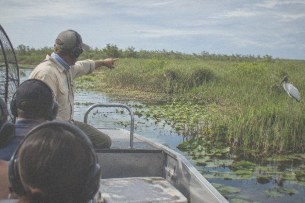 Captain pointing toward the marsh bank while explaining the wildlife to passengers