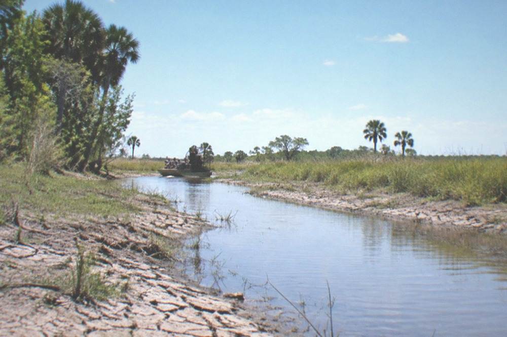 Shallow marsh channel with exposed mud banks and grass along the waterline