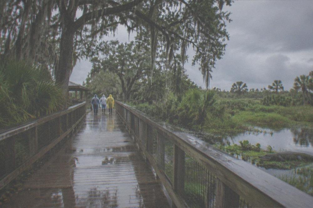 Family with ponchos walking a boardwalk path at an airboat park under gray sky