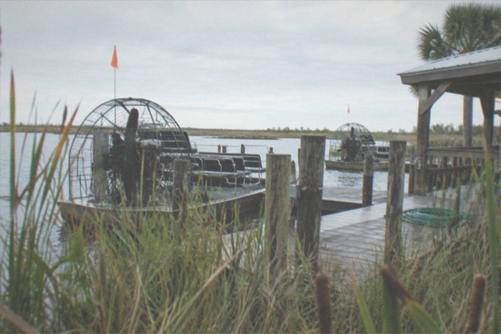 An airboat launch dock on a lake edge surrounded by reeds