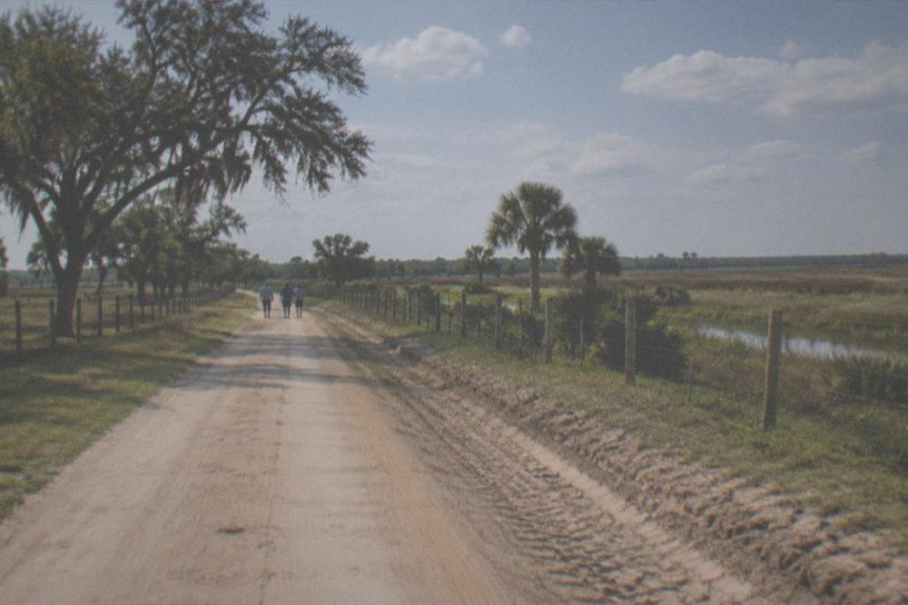 A quiet road through Florida ranchland with marsh on the horizon