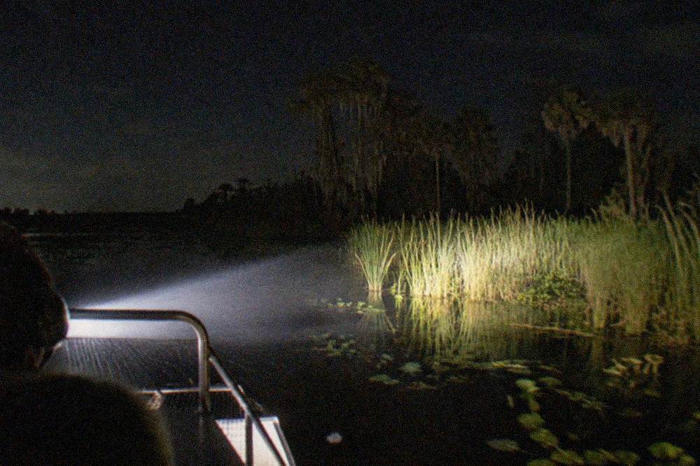 a spotlight beam sweeping across dark marsh water from the bow of an airboat at night