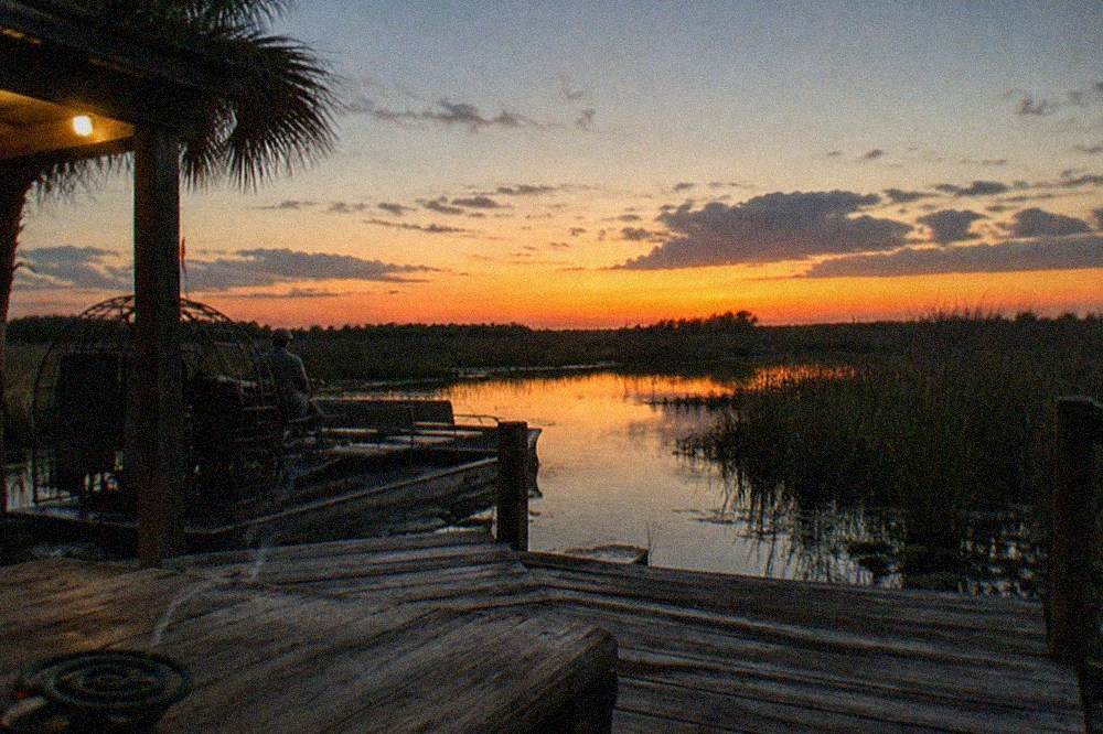 twilight over a Central Florida marsh with tall grass silhouetted against an orange horizon