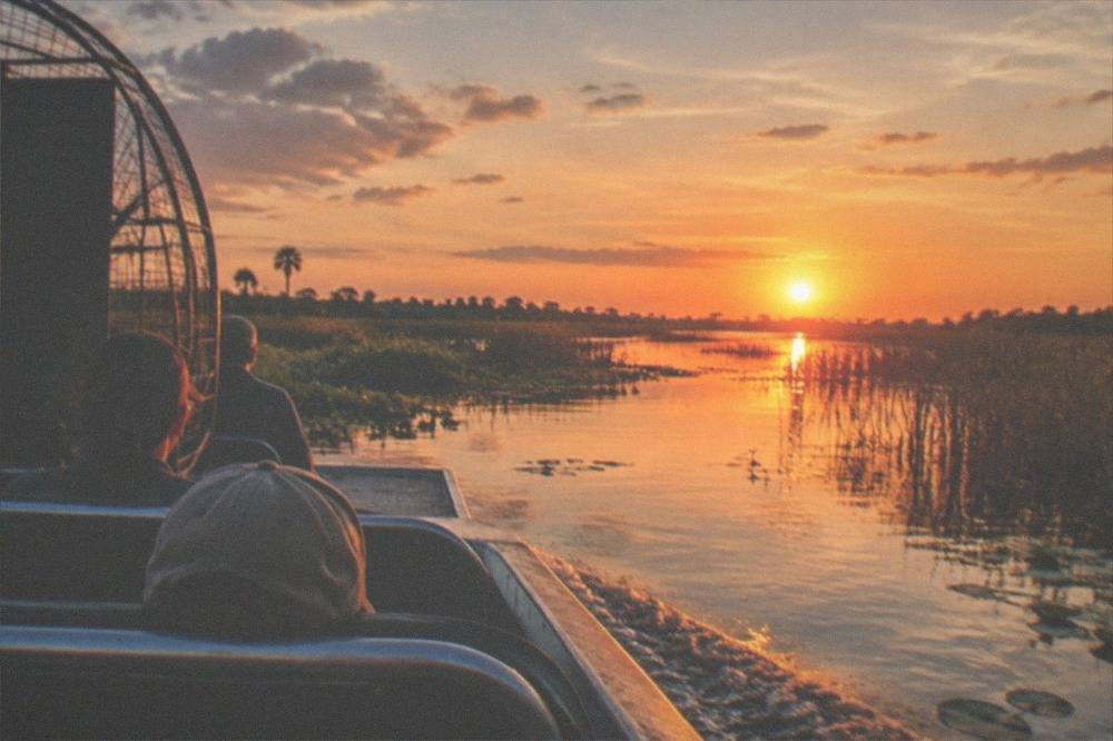 an airboat cruising through reeds toward a low sun reflecting on the water