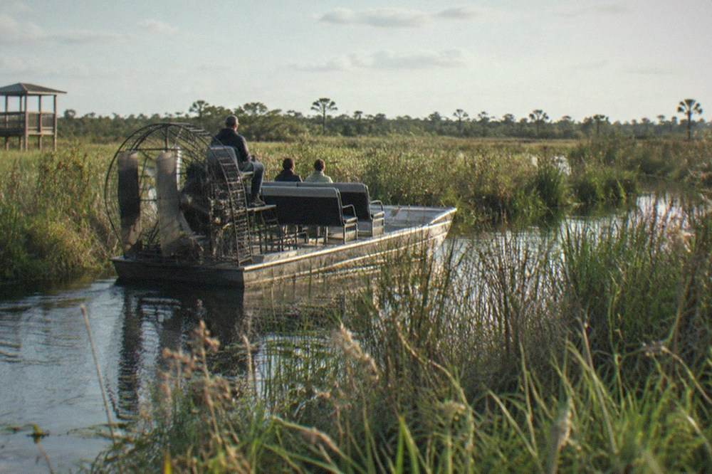A low-sided airboat drifting slowly through a narrow sawgrass channel