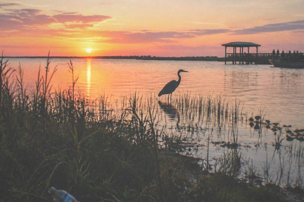 Sunset colors reflecting across a broad lake with silhouetted reeds along the shore