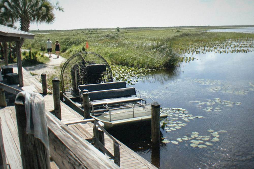 Marsh landscape at midday with bright sun reflecting off open water and tall grasses